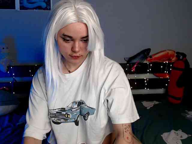 kotik-meov1 webcam