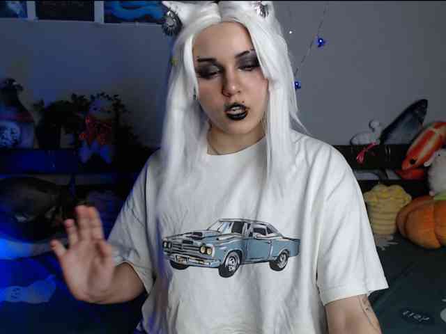 Model: kotik-meov1