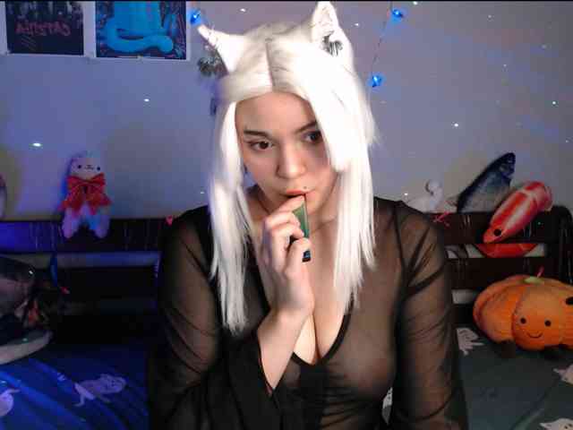 Modelo: kotik-meov1
