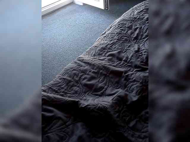 Romalon1 webcam
