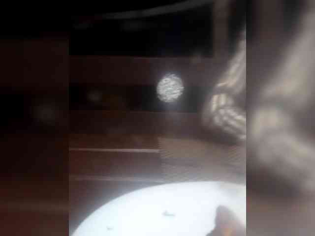 Romalon1 webcam