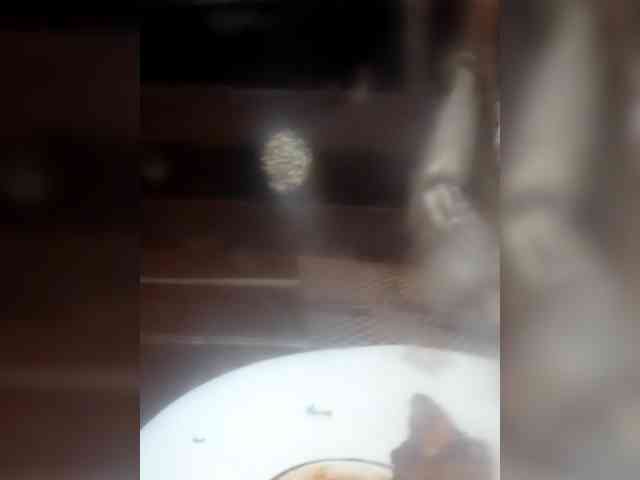 Romalon1 webcam