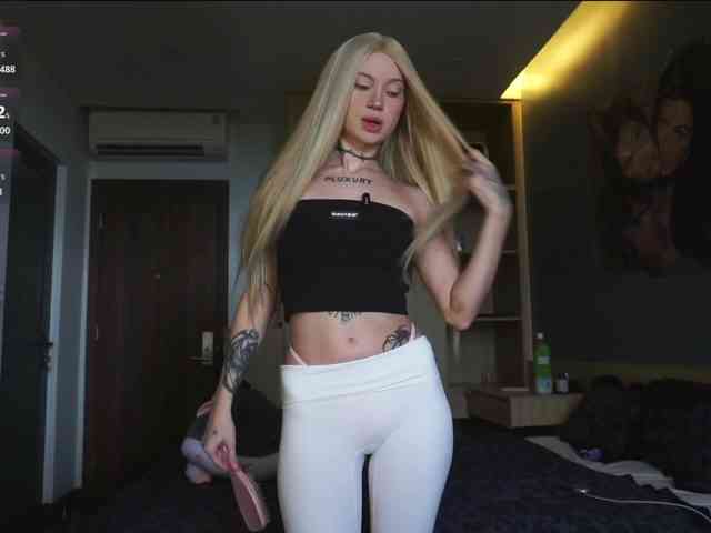 kristall-catt webcam