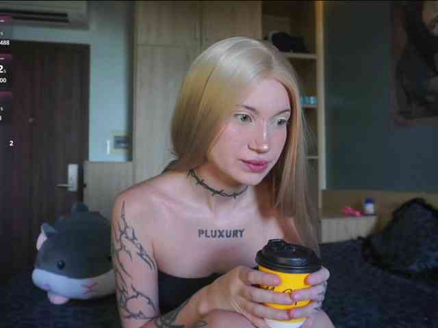 kristall-catt webcam