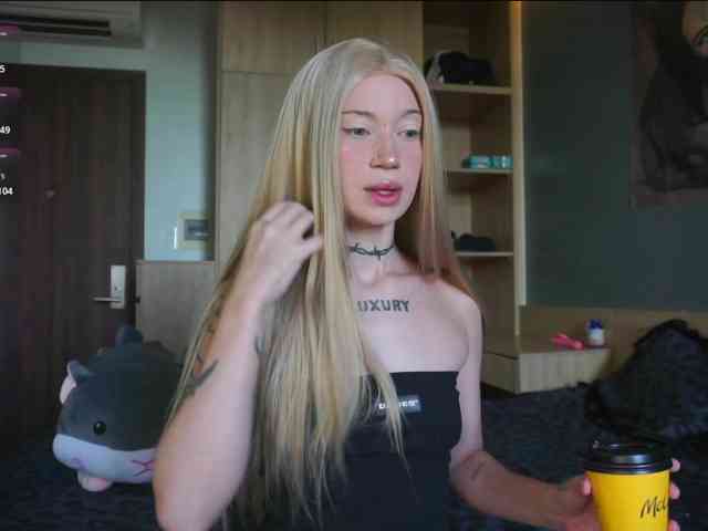 kristall-catt webcam