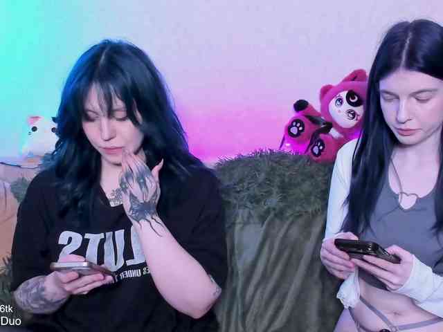 SleepingDuo webcam
