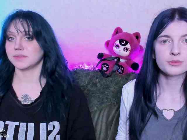 SleepingDuo webcam