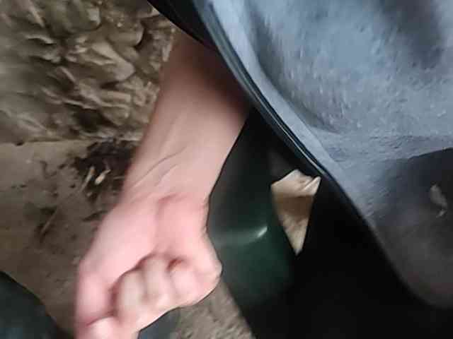 SonoVergine webcam
