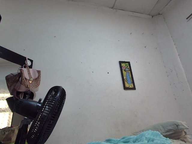 Whitemarysexy live cam