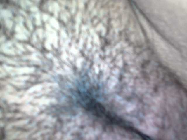 whitemarysexy