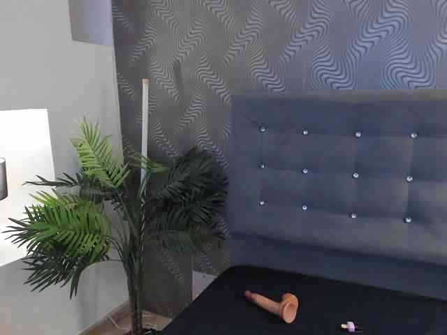 honeyvice webcam