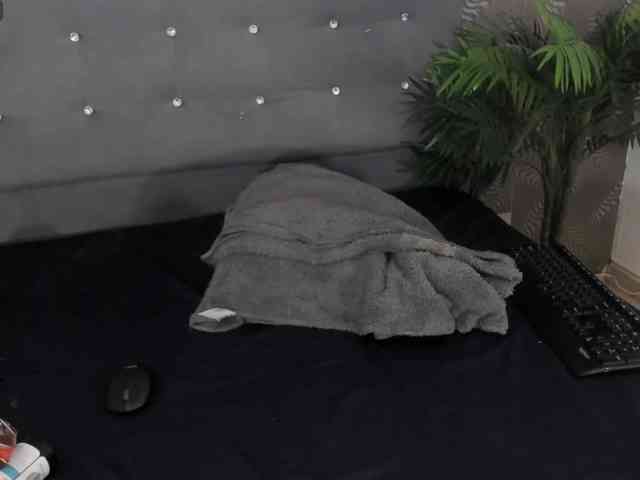 honeyvice webcam