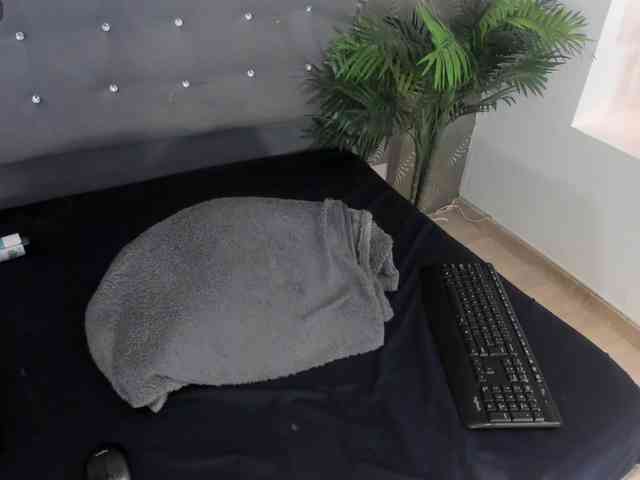 honeyvice webcam