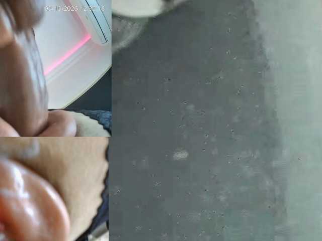 PlayDollSpin