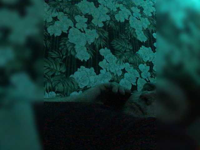 Jinjeer