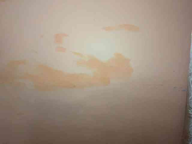 ShaundaBreau webcam