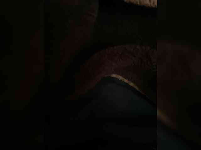 Precam