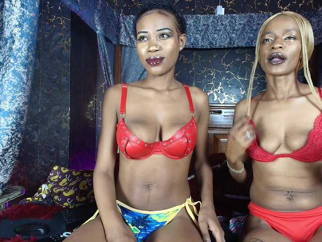AroAndHens live cam on BongaCams