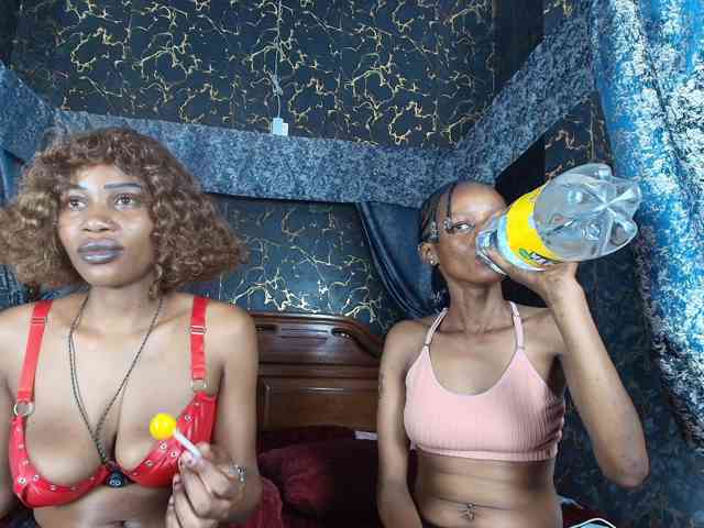 AroAndHens webcam