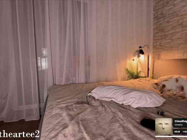 artone webcam