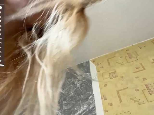 DeniceNolting