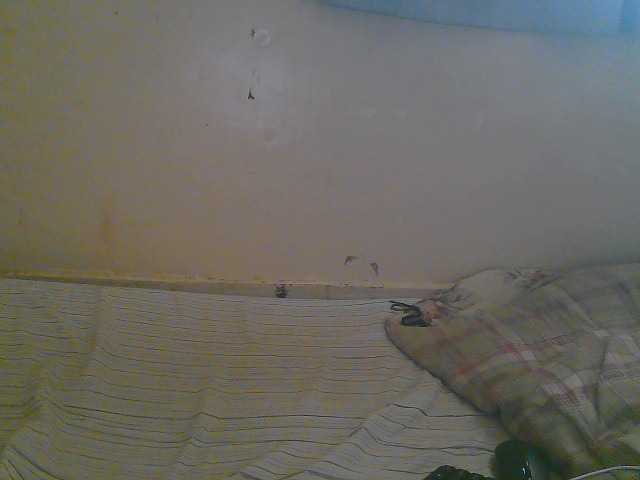 Sparkling-divah live cam on BongaCams