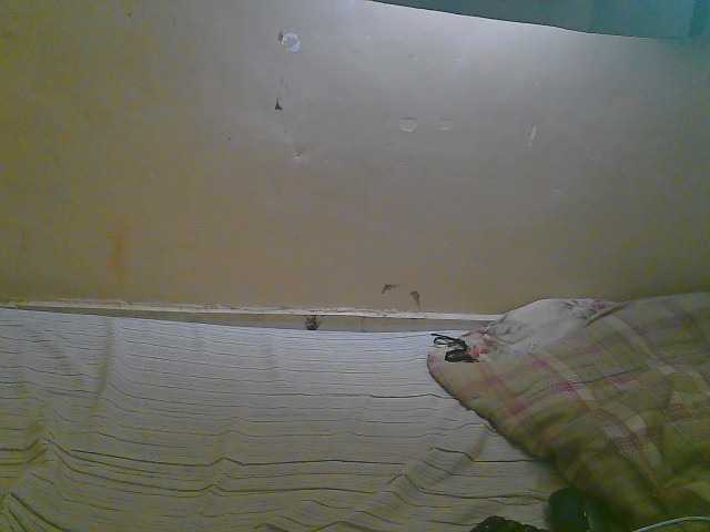 Sparkling-divah live cam on BongaCams