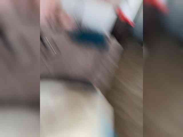 Elya6 Elya6