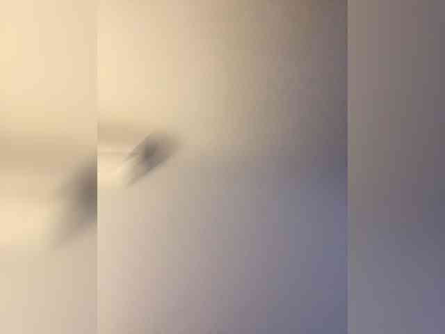 Ivi7777 webcam