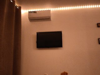 Kotenok-10is10 Porn Show
