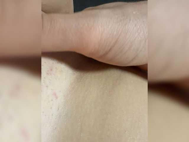 Meloni-2