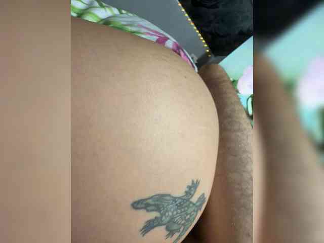 Meloni-2