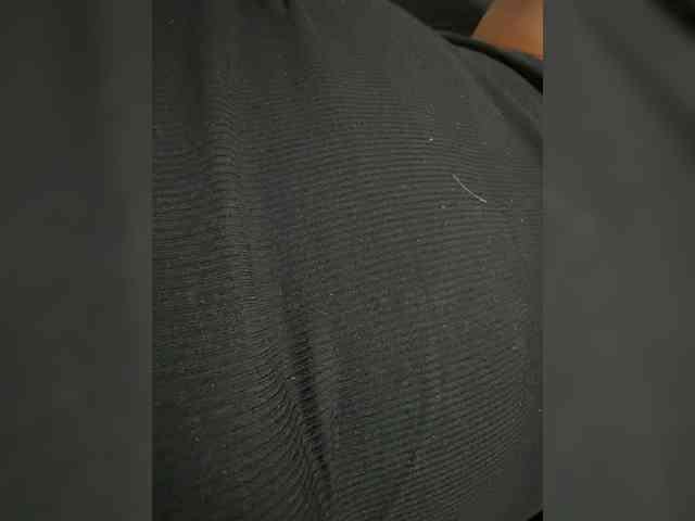 Meloni-2 webcam