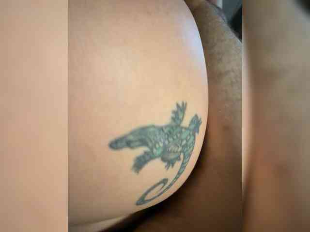 Meloni-2 webcam
