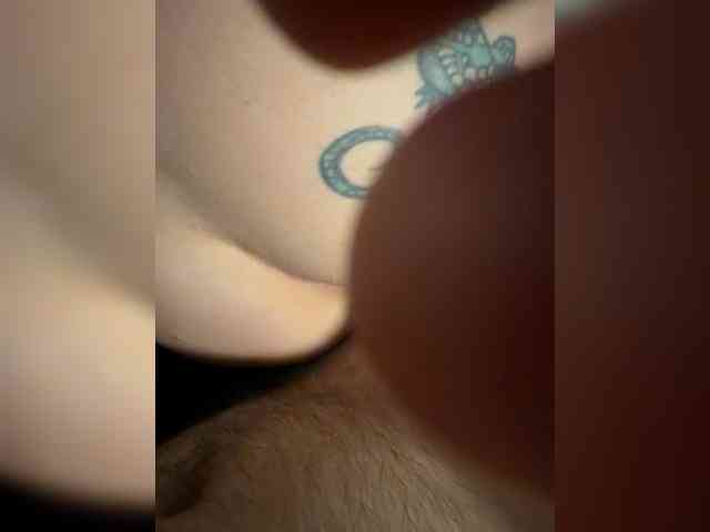 Meloni-2 webcam