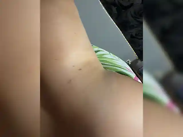 Meloni-2