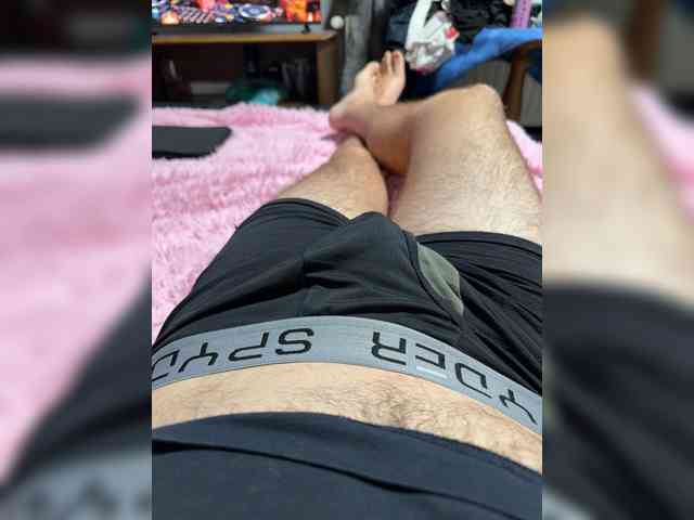 Meloni-2