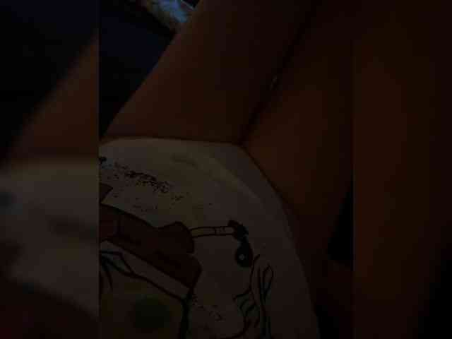 Meloni-2 webcam
