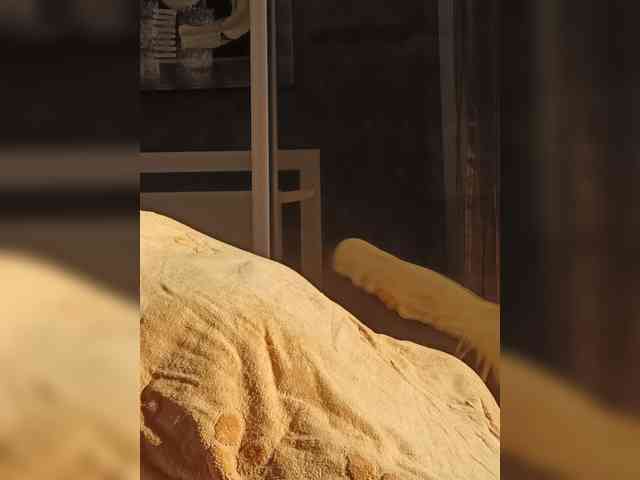 Calentitos webcam