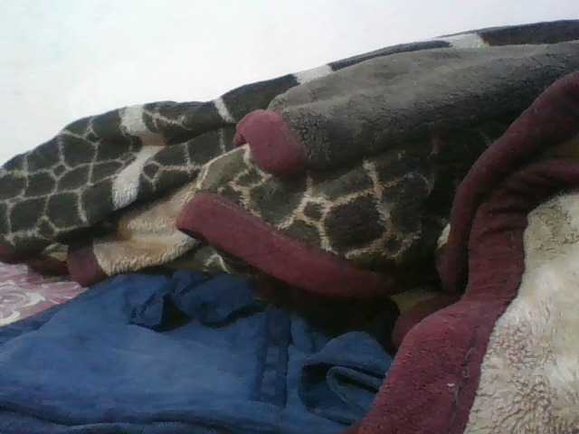 Charliepoco live cam preview