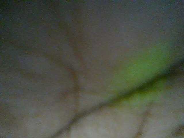 Charliepoco live cam preview