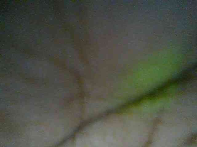 Charliepoco webcam
