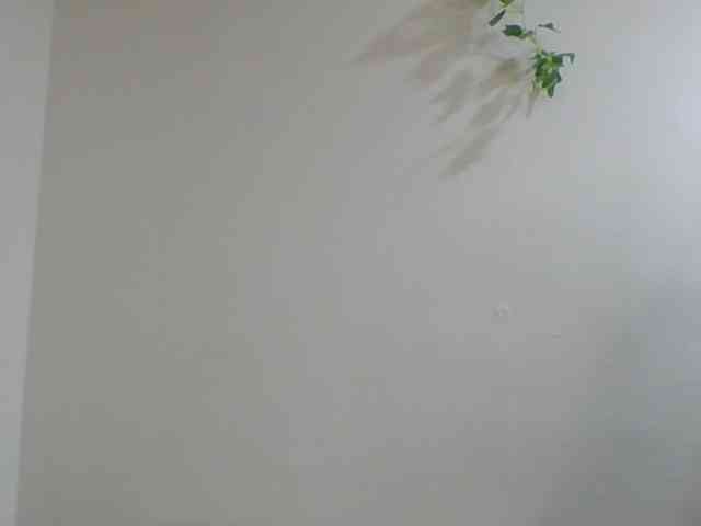 mitchblaq1 webcam