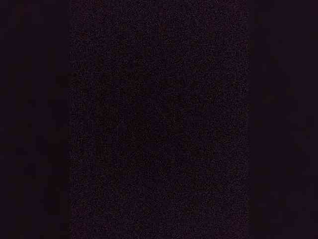pearlmsen1 webcam