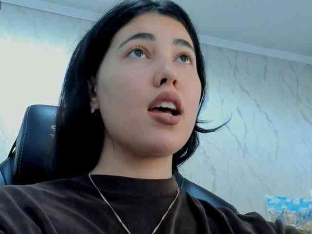 diaralan webcam