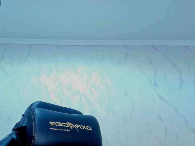 diaralan webcam