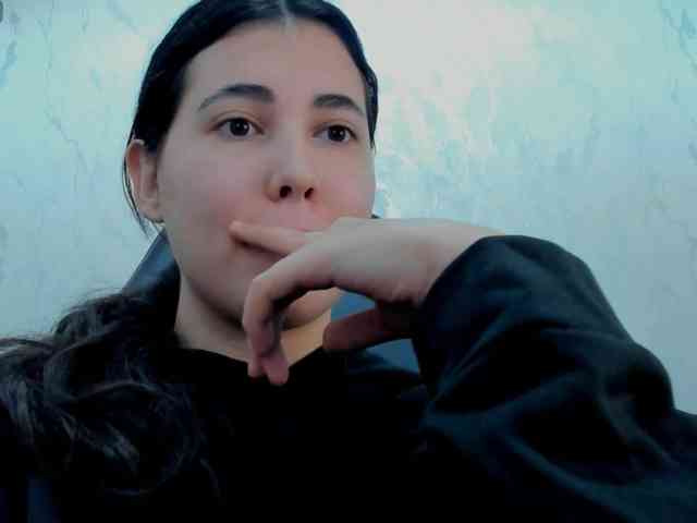 diaralan webcam