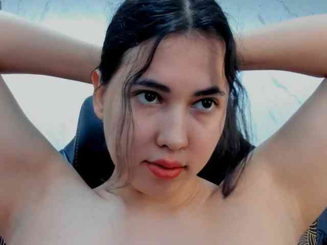 diaralan webcam