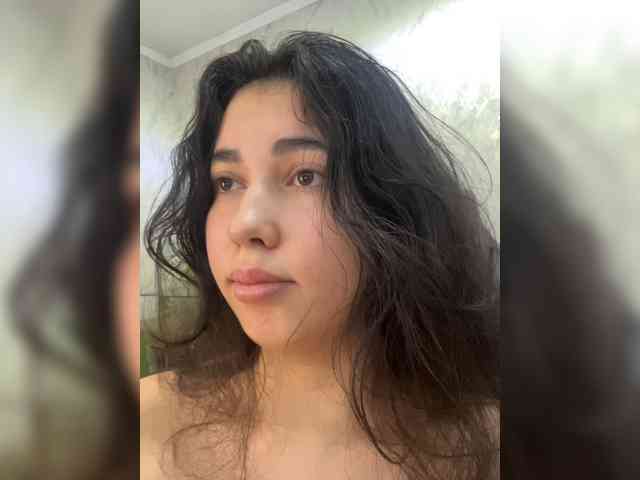 diaralan webcam