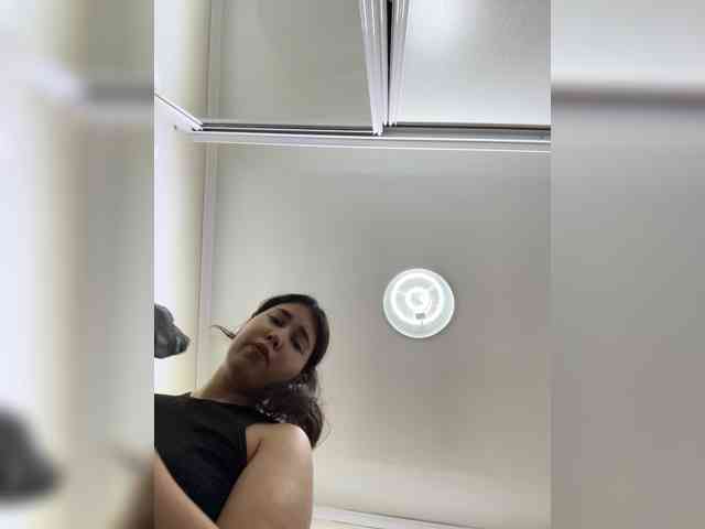 diaralan webcam